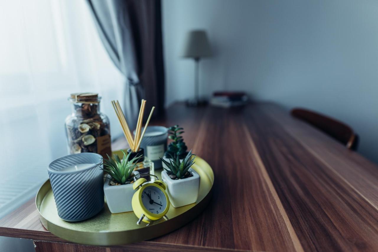 Thome Hoia Studio 1Bedroom Cluj-Napoca Eksteriør billede